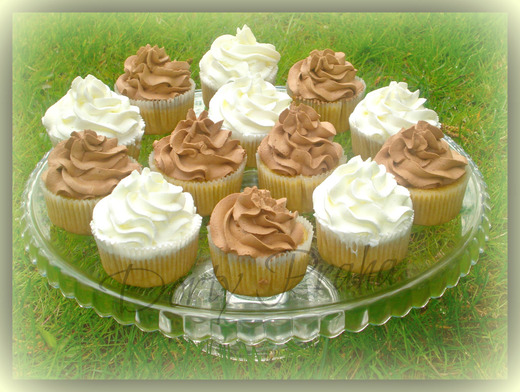 vegan_001-veganské cupcakes s vanilkou a čokoládovou šlehač